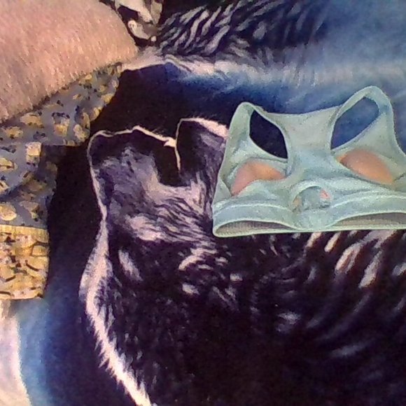 Sports bra - Picture 1 of 2